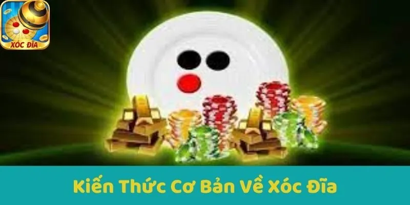 Kiến Thức Cơ Bản Về Xóc Đĩa