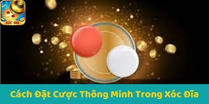 Cách Đặt Cược Thông Minh Trong Xóc Đĩa
