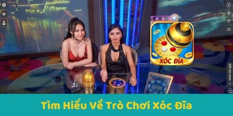Tìm Hiểu Về Trò Chơi Xóc Đĩa