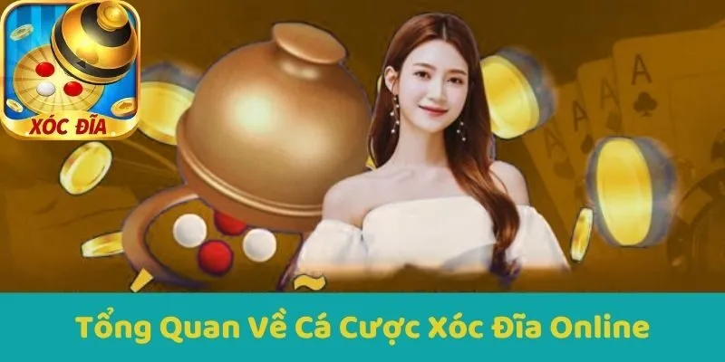 Tổng Quan Về Cá Cược Xóc Đĩa Online