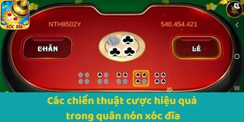 Các chiến thuật cược hiệu quả trong quân nón Xocdia
