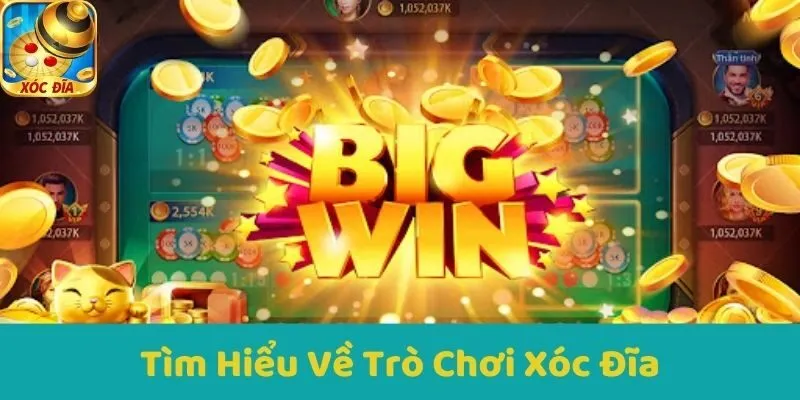 Tìm Hiểu Về Trò Chơi Xóc Đĩa